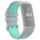 Mobigear Sport Plus Buckle Silikon Fitbit Charge 4 Armband Dornschließe - Blau / Grau