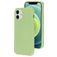 Mobiparts iPhone 12 Silikon Hülle Backcover - Pistache Green