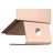 rain design mStand Laptop-Ständer - Roségold Universal