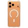 CARE by PanzerGlass Fashionable Durchsichtig iPhone 17 Pro Max Silikon MagSafe Hülle Backcover - Transparent