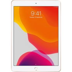 PanzerGlass Edge to Edge iPad 7 (2019) Panzerglas Displayschutz - Hüllenfreundlich
