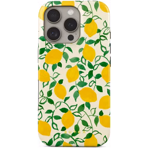 Burga Tough iPhone 16 Pro Hülle Hardcase Backcover Stoßfest - Capri